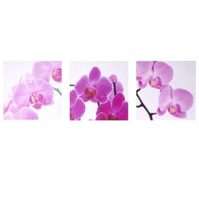 Leinwandbild Wandbild 3-teilig 150x50cm ~ Orchidee