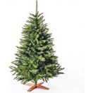Weihnachtsbaum 220cm FSC Holzständer Premium Qualität Naturgetreu