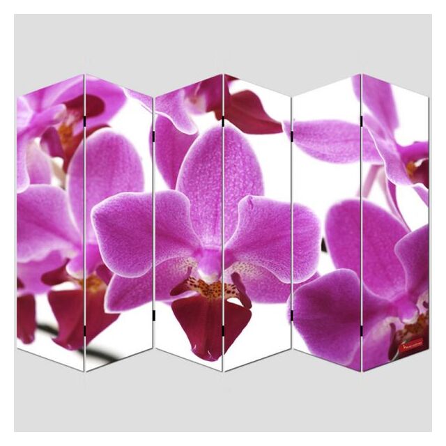 180x120cm ~ Orchidee Foto-Paravent Paravent Raumteiler M68 3 Panels 